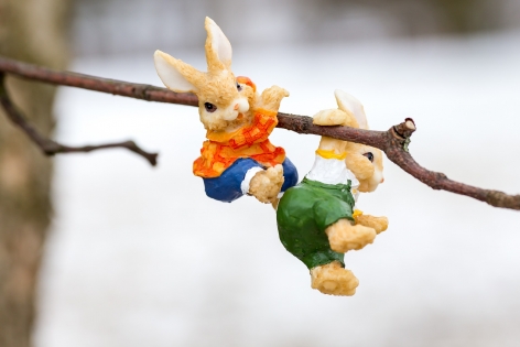 easter-bunny-3195642_1920